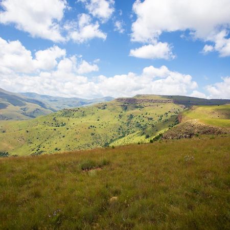 Paardeplaats Nature Retreat Rhenosterhoek ภายนอก รูปภาพ