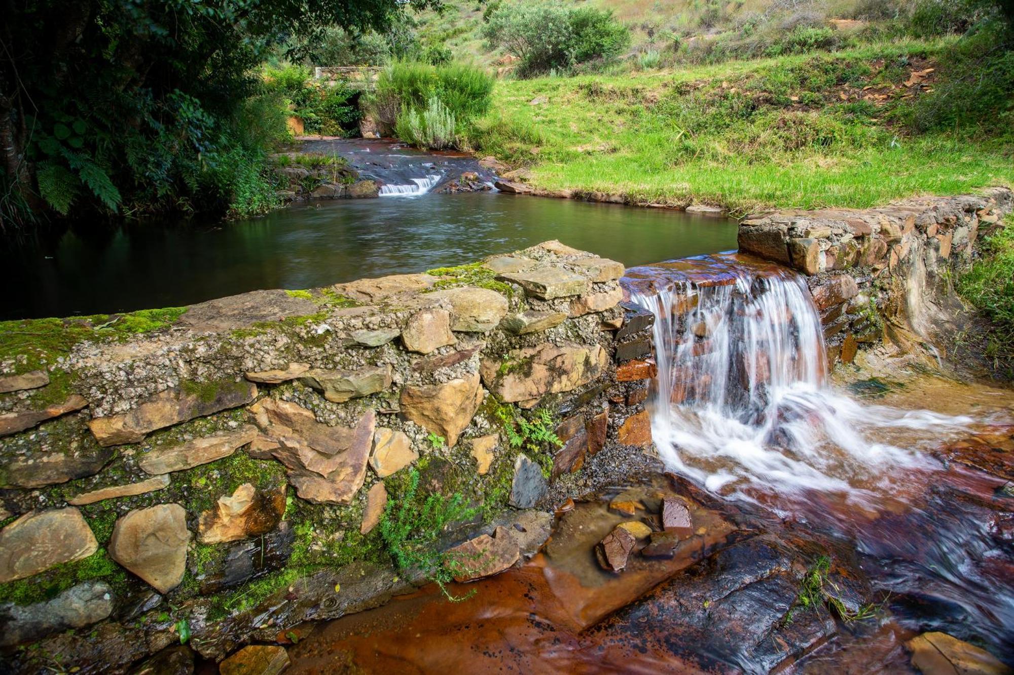 Paardeplaats Nature Retreat Rhenosterhoek ภายนอก รูปภาพ