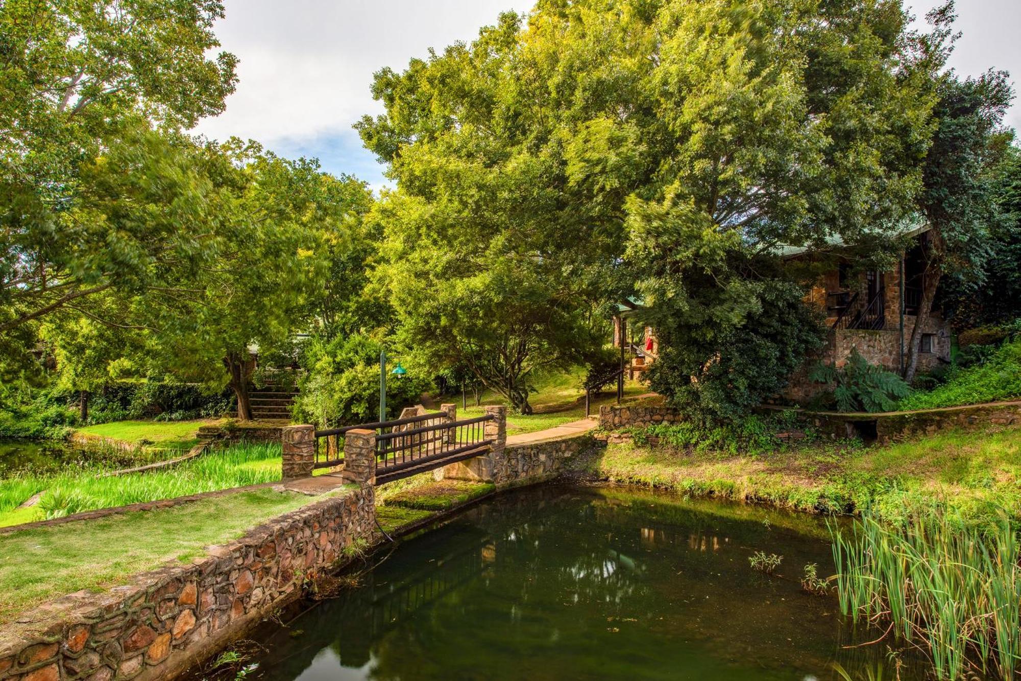 Paardeplaats Nature Retreat Rhenosterhoek ภายนอก รูปภาพ