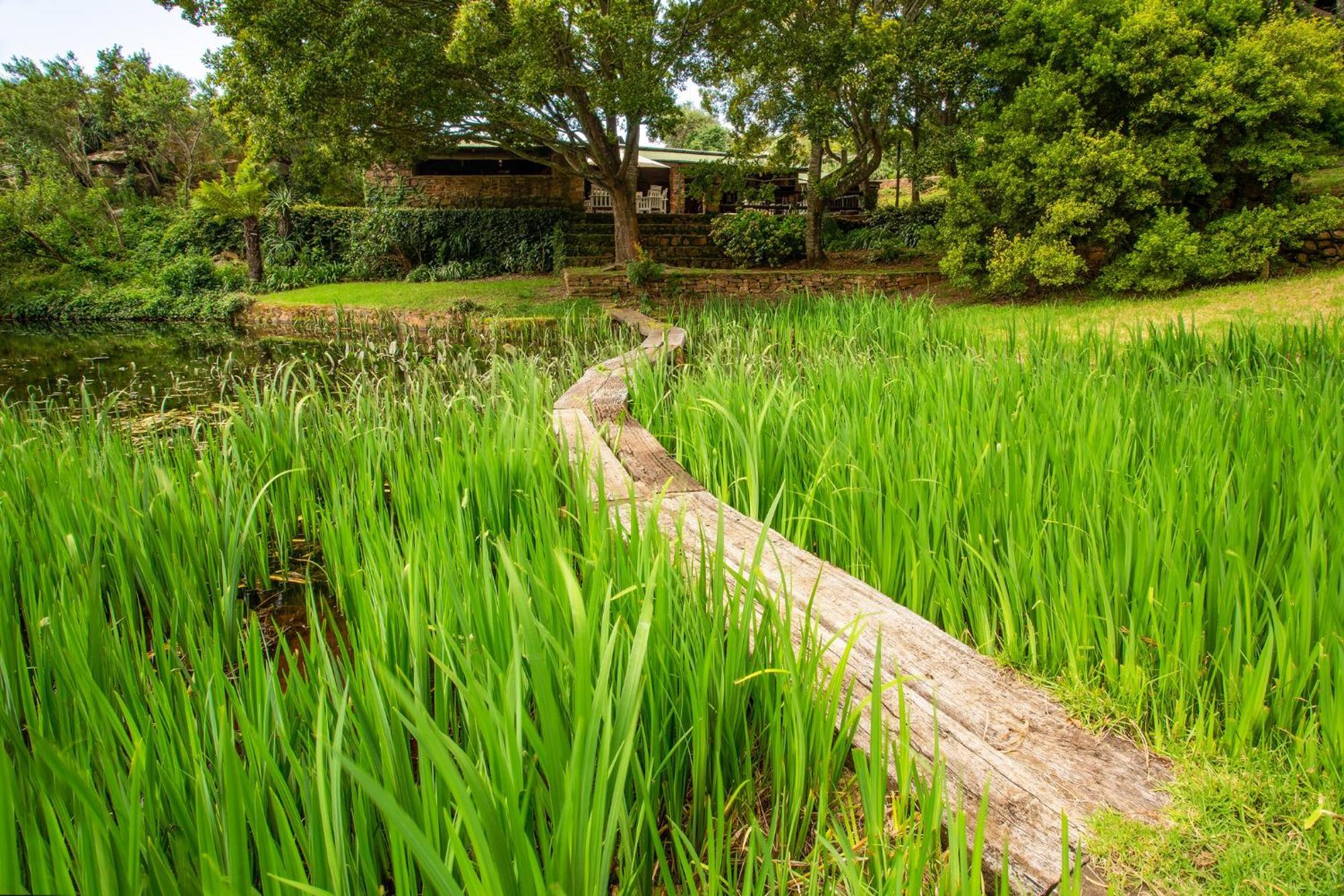 Paardeplaats Nature Retreat Rhenosterhoek ภายนอก รูปภาพ