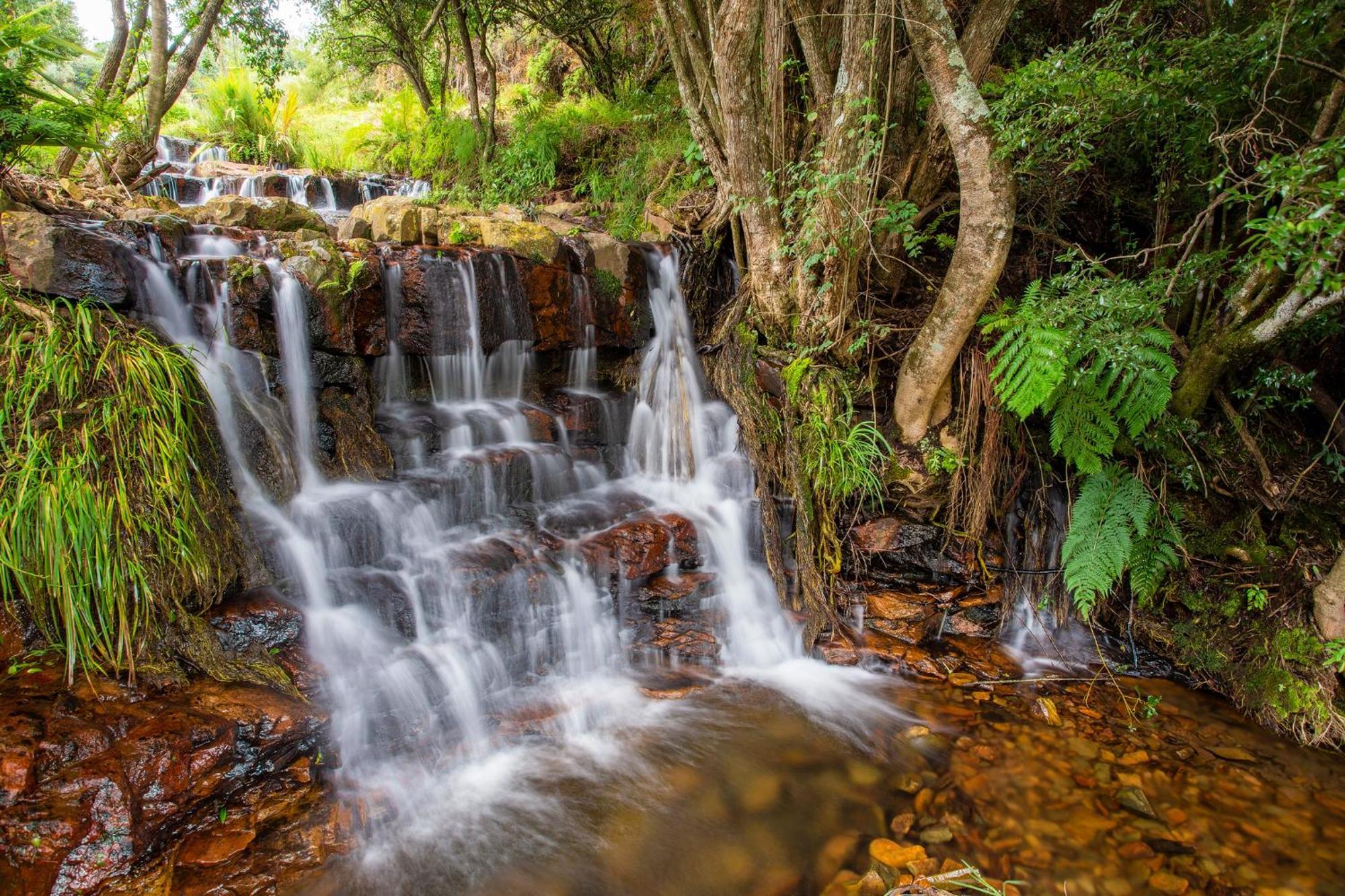 Paardeplaats Nature Retreat Rhenosterhoek ภายนอก รูปภาพ