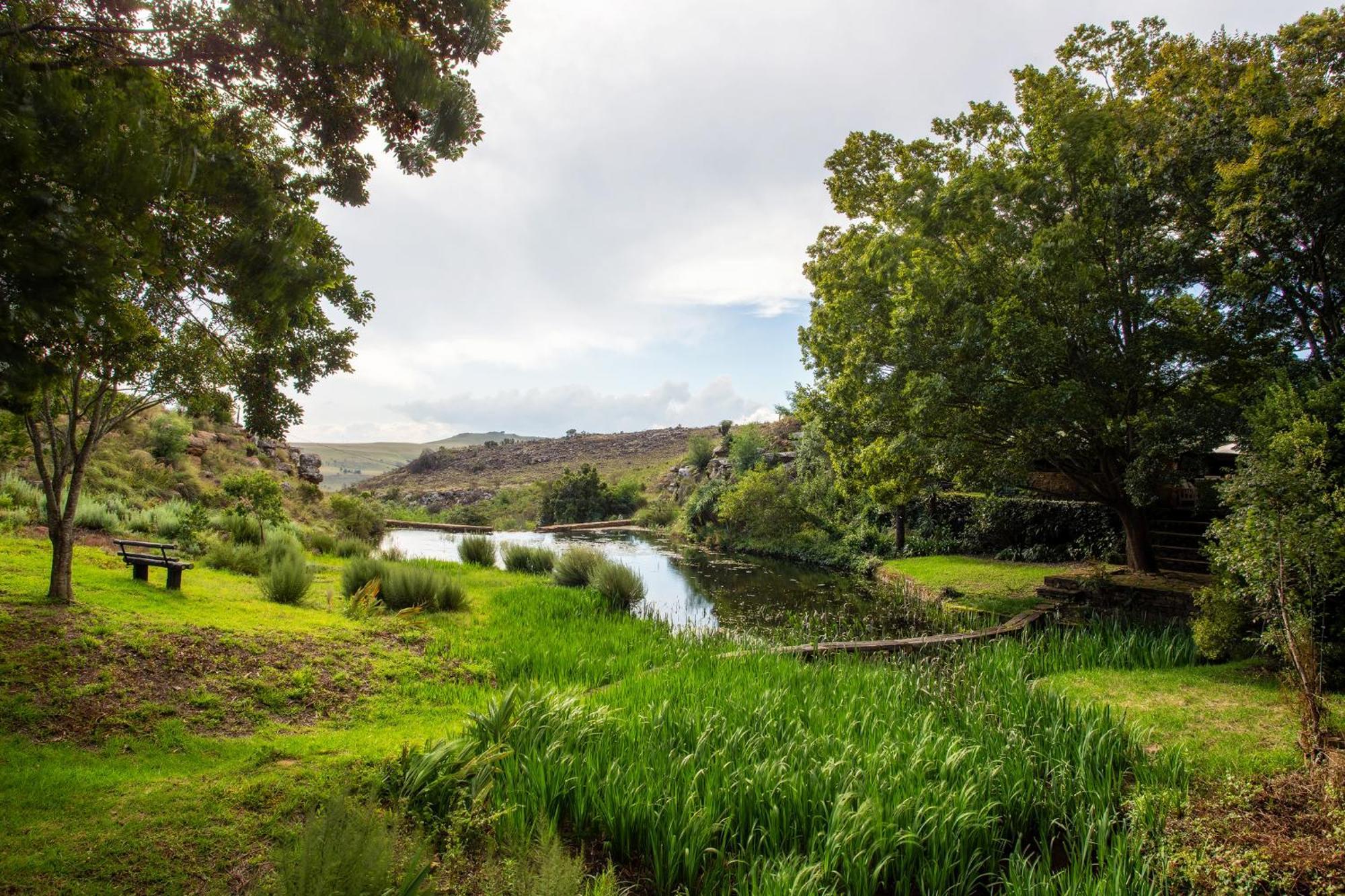 Paardeplaats Nature Retreat Rhenosterhoek ภายนอก รูปภาพ