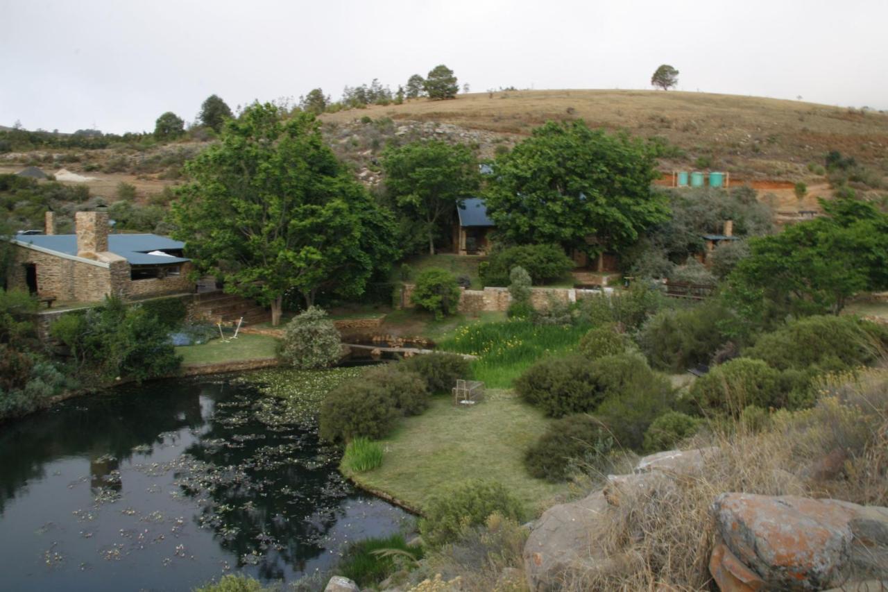 Paardeplaats Nature Retreat Rhenosterhoek ภายนอก รูปภาพ